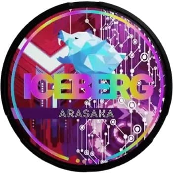 Iceberg Arasaka